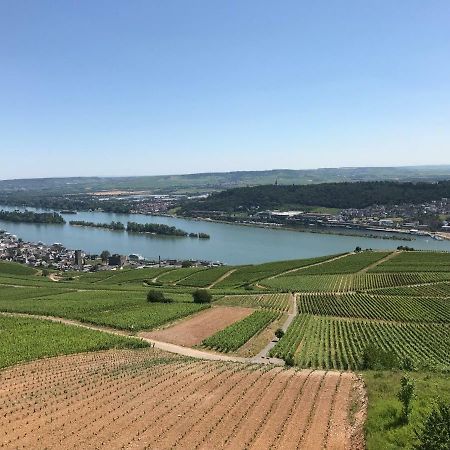 Ruedesheimer Wohlfuehloase Rüdesheim am Rhein Exterior foto