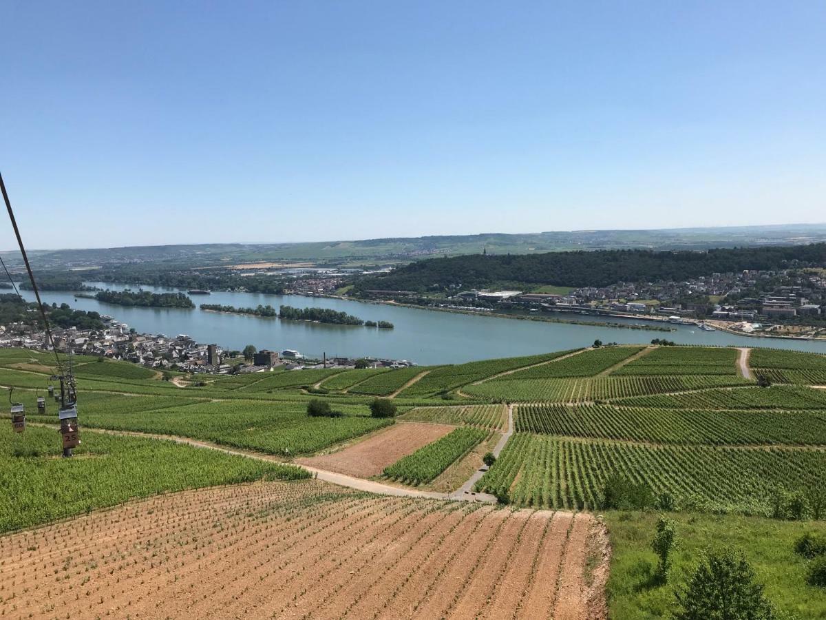 Ruedesheimer Wohlfuehloase Rüdesheim am Rhein Exterior foto